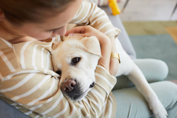 istock Woman Cuddling with Dog 1356372079