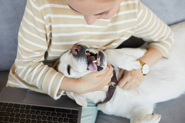 istock Young Woman Cuddling with Dog 1356372083