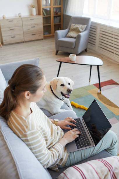 istock Woman Working from Home High Angle 1356372086