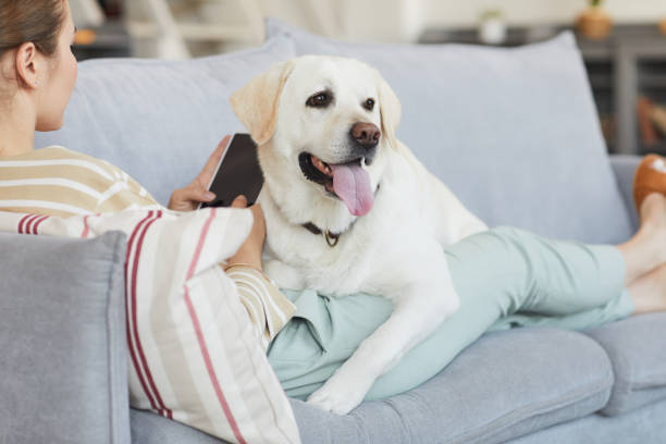 istock Woman Cuddling with Dog on Couch 1356372141