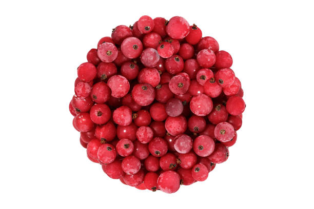 frozen red currant berry isolated on white background. a bunch of natural berries in the shape of a circle