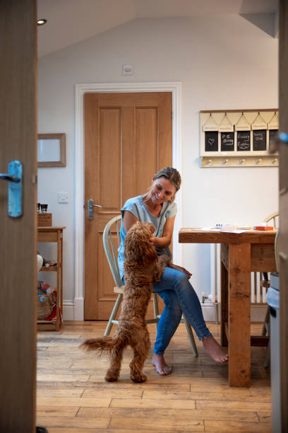 istock Home is Where the Heart is 1356376667