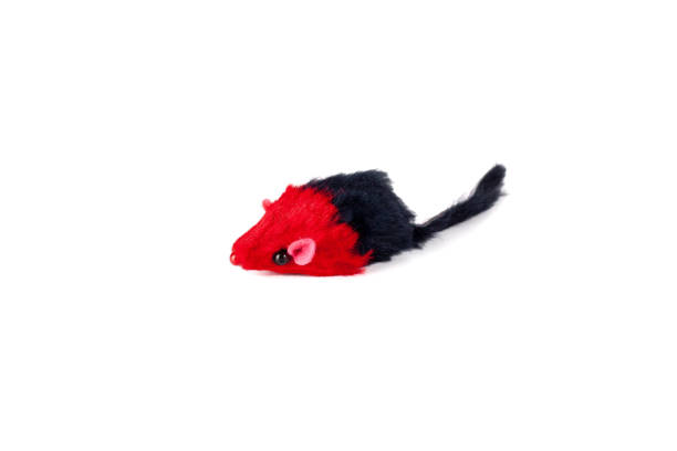 istock Toy mouse for cat. Cat toy for pet playing while stay alone at home. Isolated on white background 1356377149
