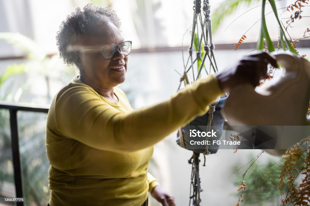 Senior woman watering plants at home Senior Adult Stock Photo