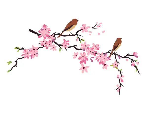 Vector illustration of Hand Drawn Cherry Blossom Branch With Cute Birds On A Transparent Base