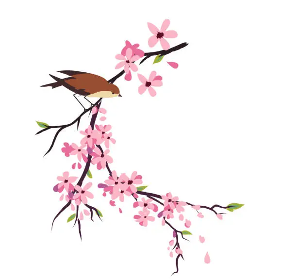 Vector illustration of Hand Drawn Cherry Blossom Branch With Cute Birds On A Transparent Base
