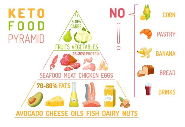 Low carbohydrate diet diagram. Medical pyramid infographics. Macronutrient ratio vertical poster. Low carbohydrate diet diagram. Medical pyramid infographics. Macronutrient ratio vertical poster. Fat loss concept. Colourful vector illustration isolated on a white background. Healthy eating banner glycogen stock illustrations