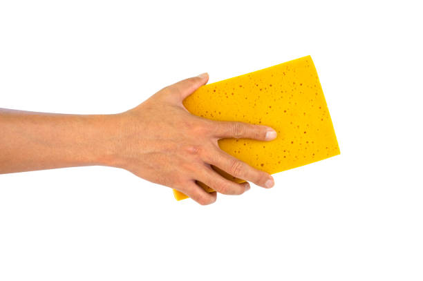 istock hand holding  yellow sponge isolated on white background 1356380680