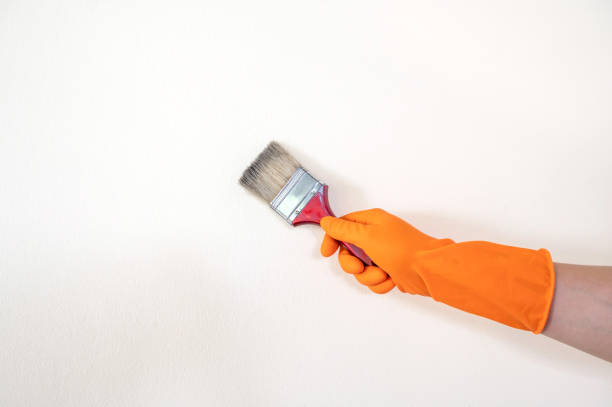 istock hand wearing orange gloves holding paint brush on white background 1356381514