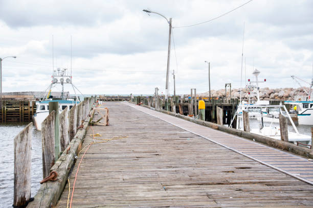 a commercial fishing boat harbour in nova scotia on the bay of fundy. - horizontal nova scotia bay of fundy bay imagens e fotografias de stock