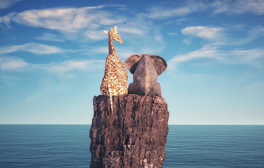 Elephant and a giraffe sitting on a rock admiring the ocean. Friendship , partnerships. This is a 3d render illustration