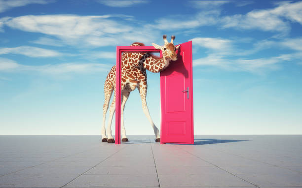 Giraffe get through a door. Curiosity an aspirations concept. This is a 3d render illustration