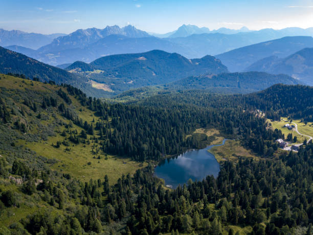 istock Drone view on lake Scheibelsee at Hauseck in Styria, Austria 1356384395