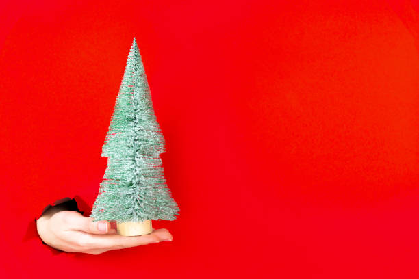 istock Hand is holding mini christmas tree in torn hole 1356387408
