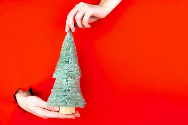 istock Hand is holding mini christmas tree in torn hole 1356387937