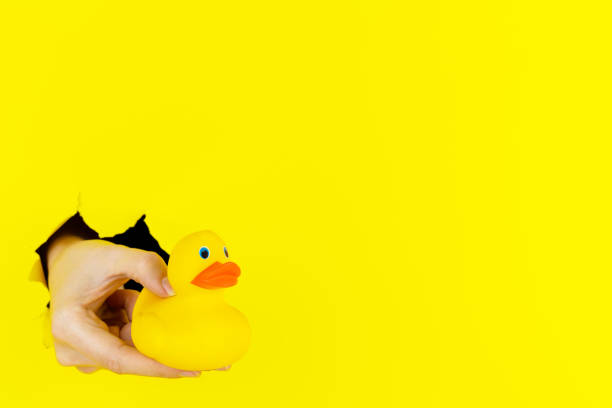 istock Hand is holding toy baby rubber duck in torn hole 1356389102
