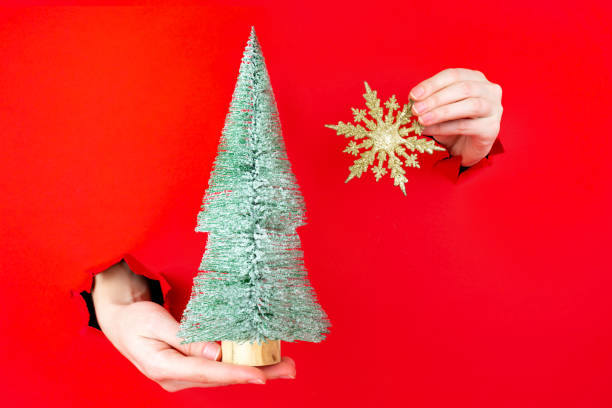 istock Hand is holding mini christmas tree in torn hole 1356389396