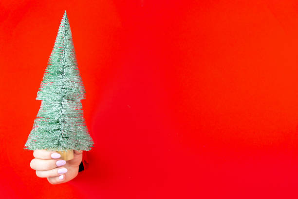 istock Hand is holding mini christmas tree in torn hole 1356389404