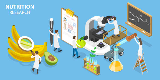 ilustrações de stock, clip art, desenhos animados e ícones de 3d isometric flat vector conceptual illustration of nutrition research - bioquímica