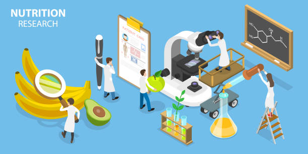 3D Isometric Flat Vector Conceptual Illustration of Nutrition Research 3D Isometric Flat Vector Conceptual Illustration of Nutrition Research, Genetically Engineered Foods genetically modified food stock illustrations