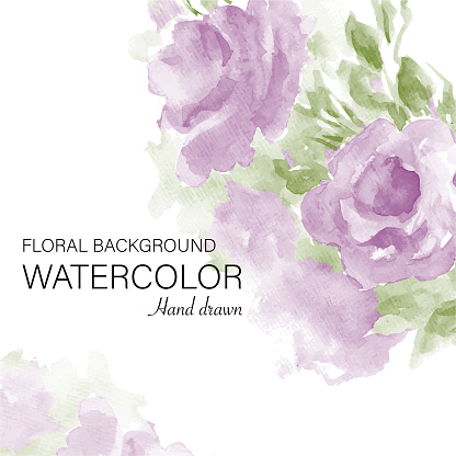 Beautiful watercolor roses backgraund