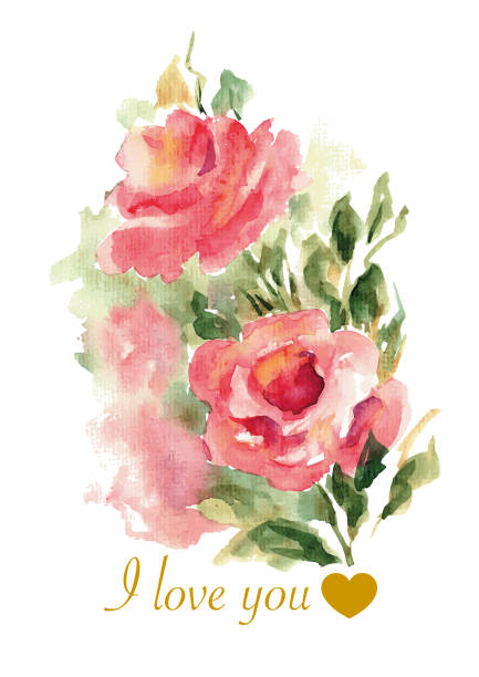 illustrazioni stock, clip art, cartoni animati e icone di tendenza di bellissimo acquerello rose backgraund - rose valentines day bouquet red