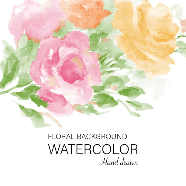 아름다운 수채화 장미 백그룬드 - wedding invitation rose flower floral pattern stock illustrations