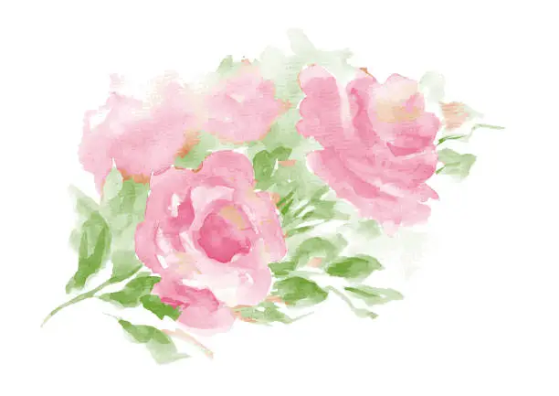 Vector illustration of Beautiful watercolor roses backgraund
