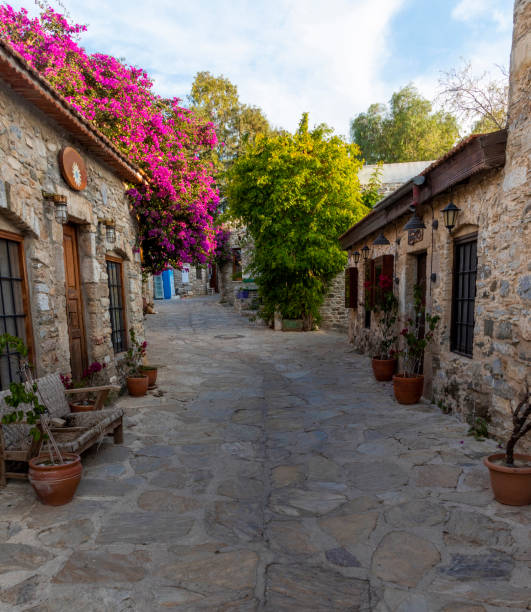 istock Bougainvillea Stone Street 1356396041