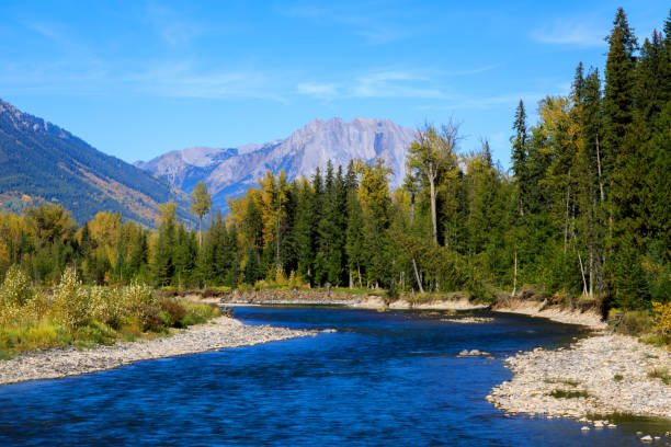 The Elk River is a 220-kilometre long river, in the southeastern Kootenay district of the Canadian province of British Columbia.