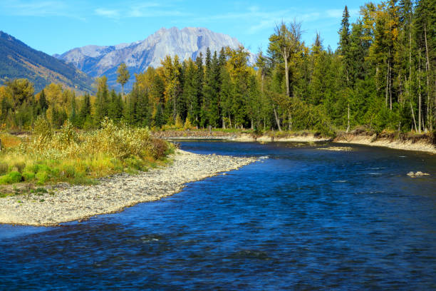 The Elk River is a 220-kilometre long river, in the southeastern Kootenay district of the Canadian province of British Columbia.