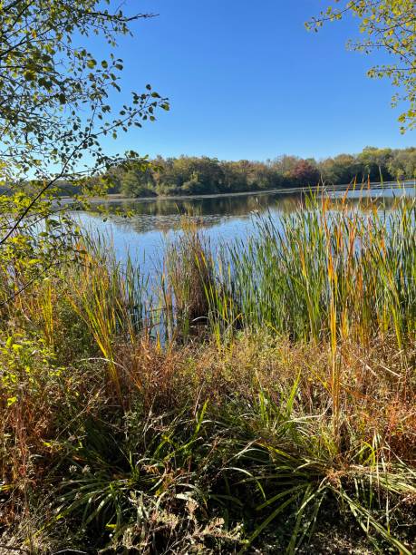 istock Wisconsin Lake Country 1356399606