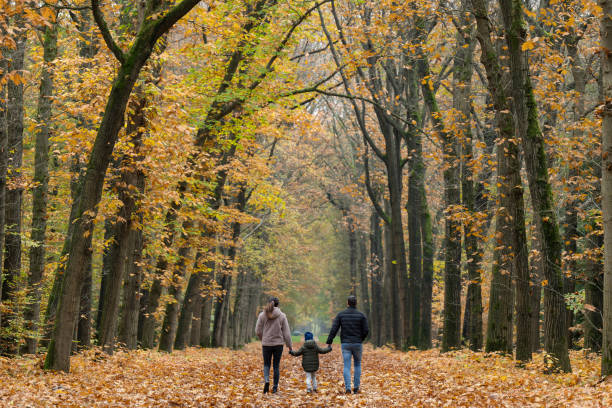 Rear view on Young family walking on avenue in autumn colors stock photo