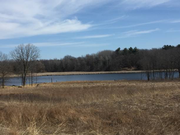 istock Wisconsin Lake Country 1356400043