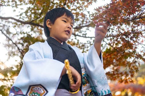 A portrait of a Japanese boy dressed in kimono for a traditional Japanese celebration called shichi go san.