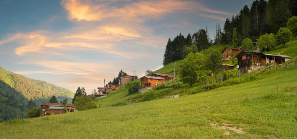Ayder Plateau in Camlihemsin. Panoramic view of wooden chalets at sunrise. Turkey travel. Ayder Plateau has wide meadow area with wooden mountain houses at 1350 meters of height. Rize, Turkey