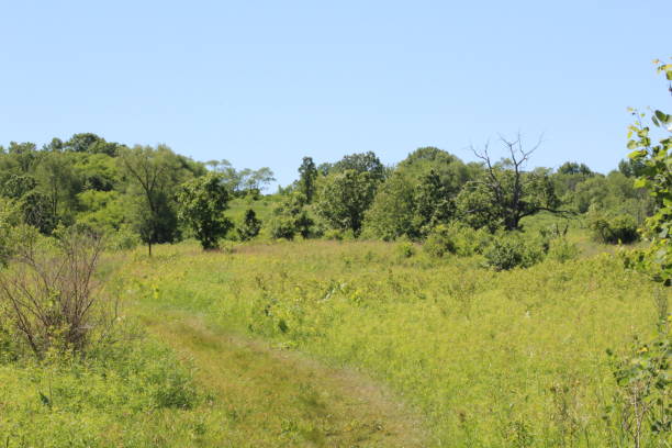 istock Wisconsin Lake Country 1356401491
