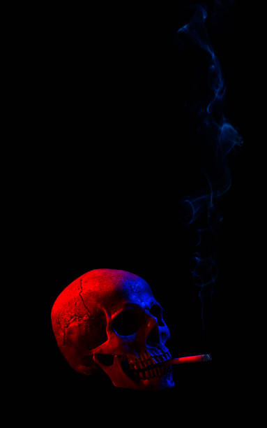 Human skull with cigarette stock photo