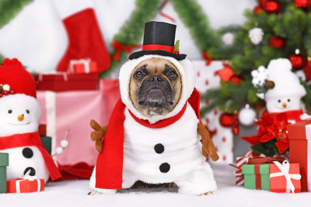 istock Snowman Christmas dog 1356404118