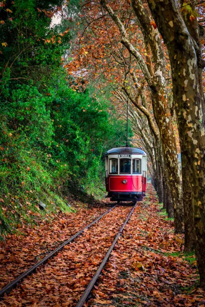 Photo of vintage tram that connects Sintra to Maças beach in the middle of an autumn landscape in Portugal.