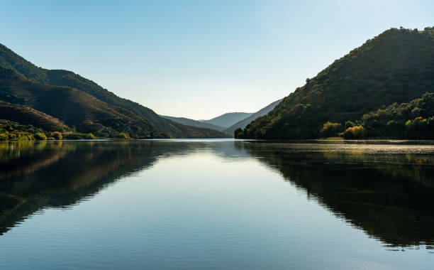 blick auf die weinberge des douro-tals - fluss douro stock-fotos und bilder