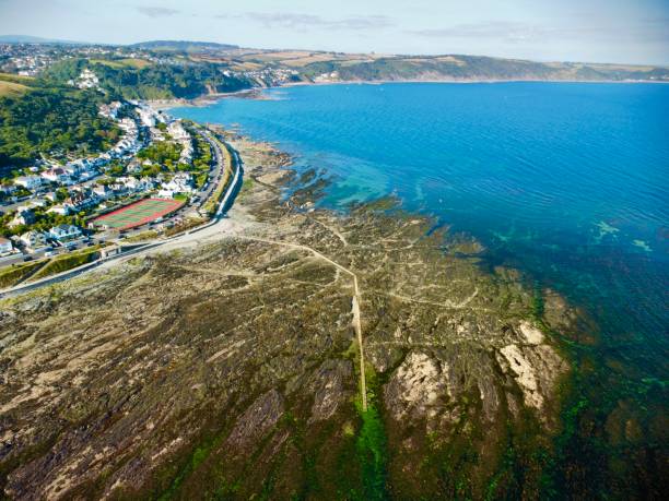 istock Looe island drone photo aerial view of Cornwall 1356407458