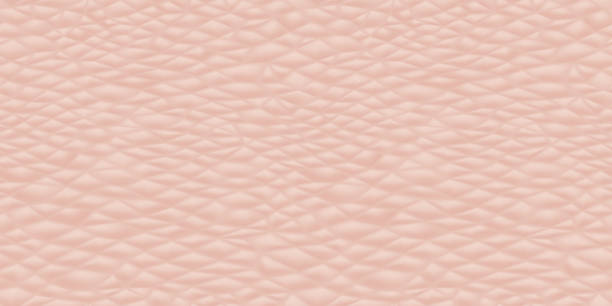 Human skin texture Human skin seamless pattern, close-up view of surface texture of human epidermis  of beige color, a template for dermatology or skin care product design and advertisement human skin stock illustrations