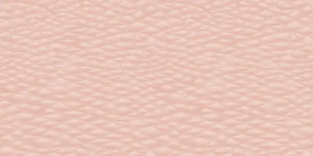 Vector illustration of Human skin texture