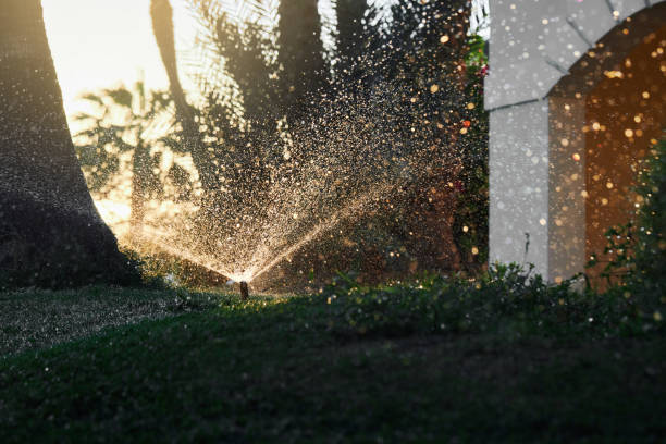 istock Close-up of automatic garden irrigation system 1356413348