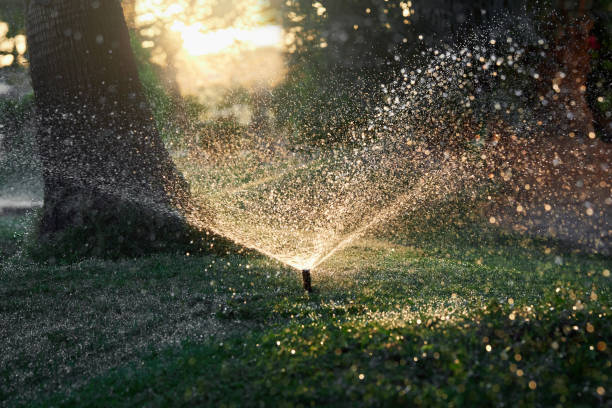 istock Close-up of automatic garden irrigation system 1356414695