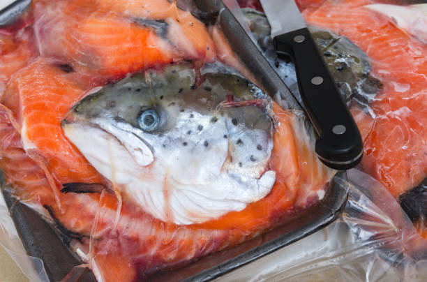 frozen salmon fish for fish soup in airtight vacuum plastic packaging. - pembe somon stok fotoğraflar ve resimler