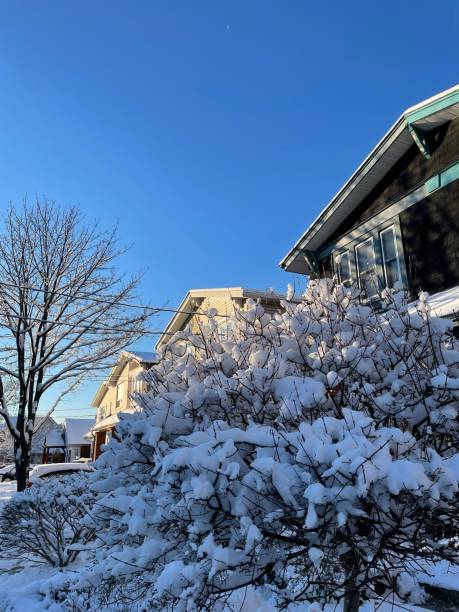 istock A street in the wintertime with a blue sky 1356420245