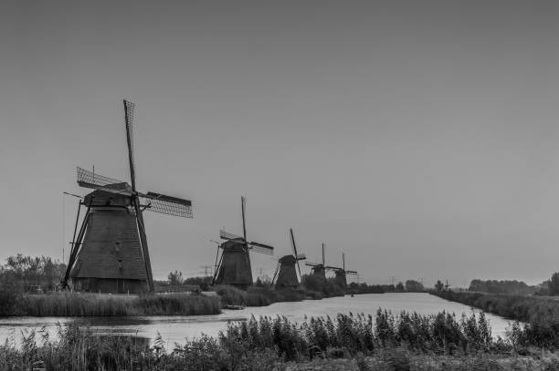 the famous Dutch windmills at Kinderdijk in The Netherlands taken in black and white photo. the beuatiful UNESCO site is typical Dutch folklore
