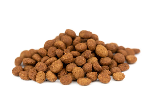 istock dry food dog 1356421825